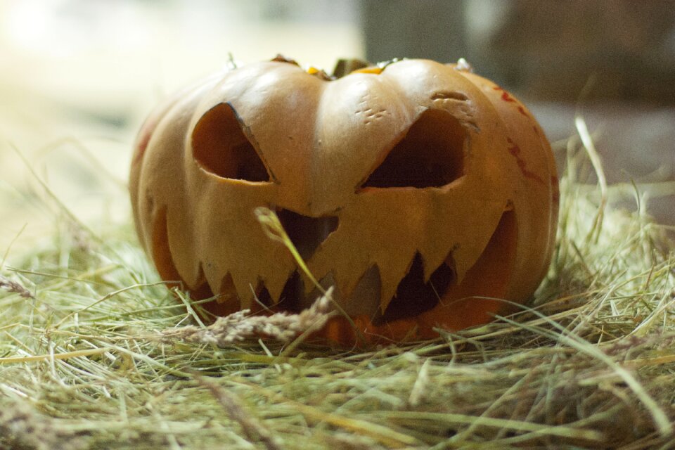 Pumpkin trick treat