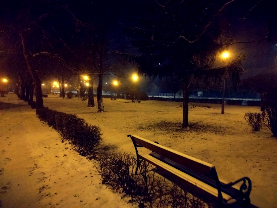 Winter Morning (201072451)