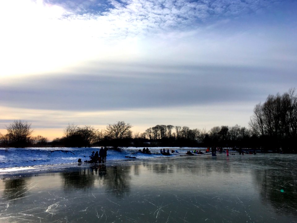 Winter in de Bemmelse Waard