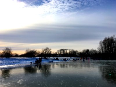 Winter in de Bemmelse Waard