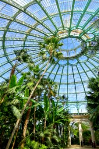 Winter Garden dome interior - Laeken Royal Greenhouses - Royal Castle of Laeken - Brussels, Belgium - DSC07512