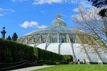 Winter Garden - Laeken Royal Greenhouses - Royal Castle of Laeken - Brussels, Belgium - DSC07407