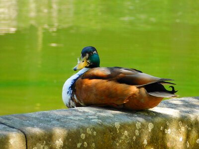 Recovery relax sit