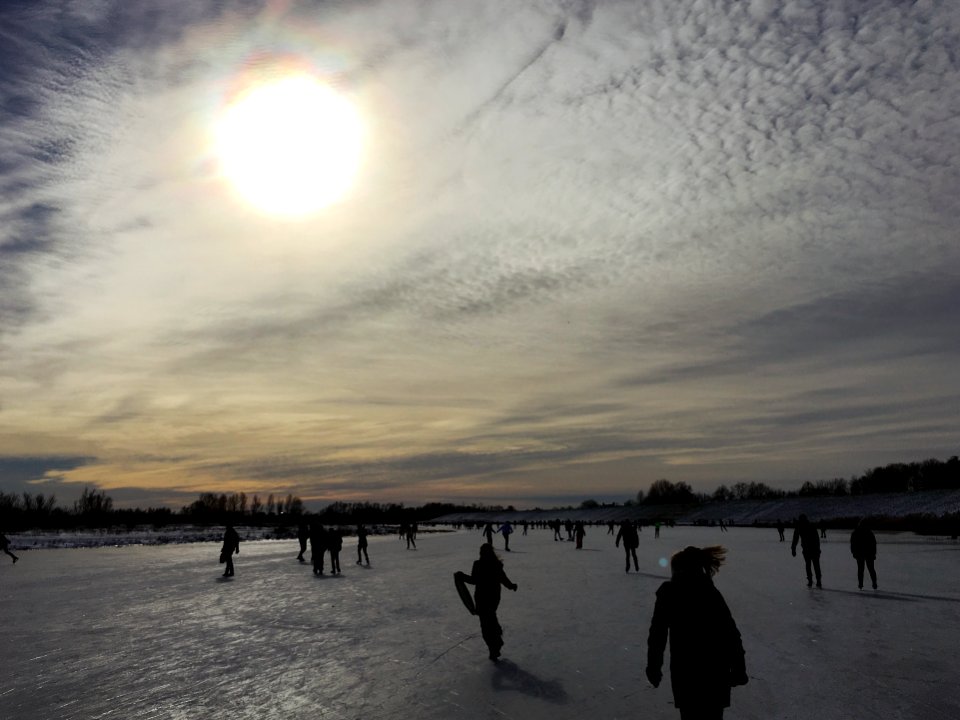 Winter in de Bemmelse Waard (Bemmel)