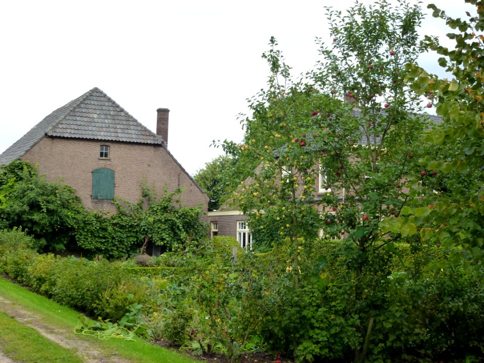 Winssen (Beuningen Gld) boerderij, van Heemstraweg 66 schuur en woning