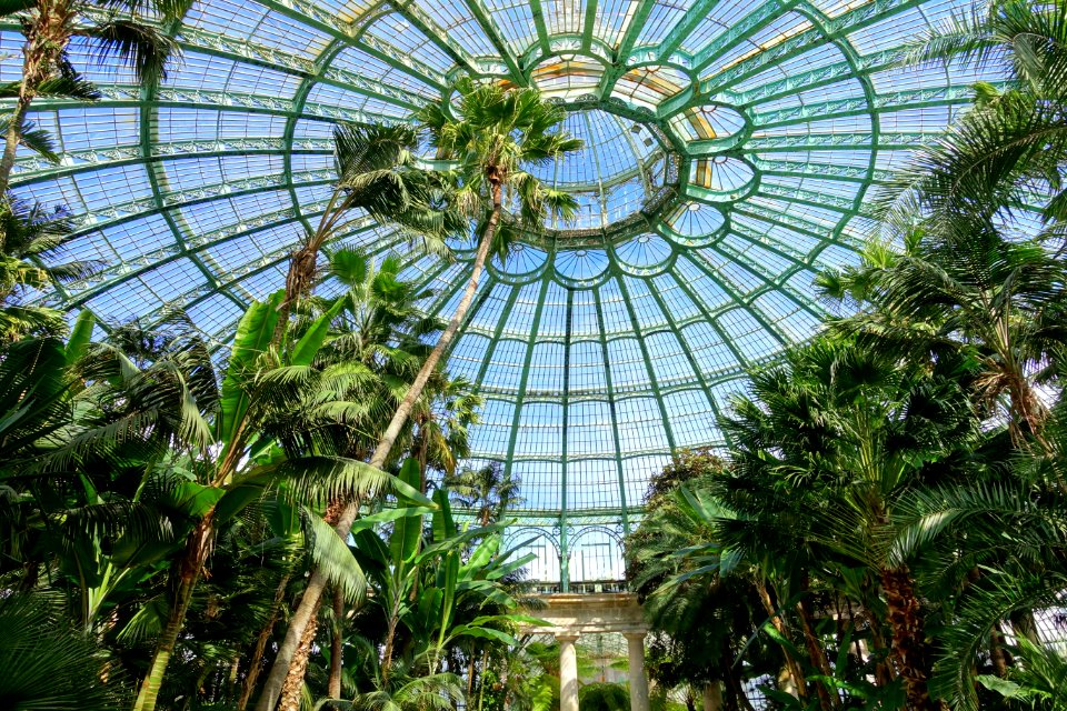 Winter Garden dome interior - Laeken Royal Greenhouses - Royal Castle of Laeken - Brussels, Belgium - DSC07518