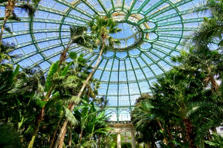 Winter Garden dome interior - Laeken Royal Greenhouses - Royal Castle of Laeken - Brussels, Belgium - DSC07518