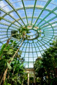 Winter Garden dome interior - Laeken Royal Greenhouses - Royal Castle of Laeken - Brussels, Belgium - DSC07506