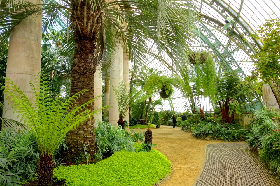 Winter Garden interior - Laeken Royal Greenhouses - Royal Castle of Laeken - Brussels, Belgium - DSC07500
