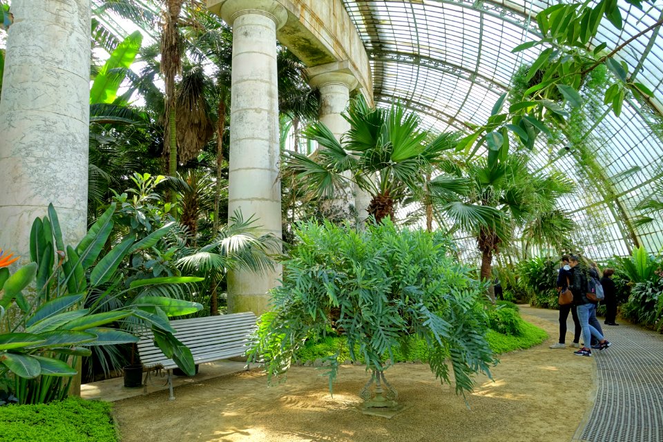 Winter Garden interior - Laeken Royal Greenhouses - Royal Castle of Laeken - Brussels, Belgium - DSC07474