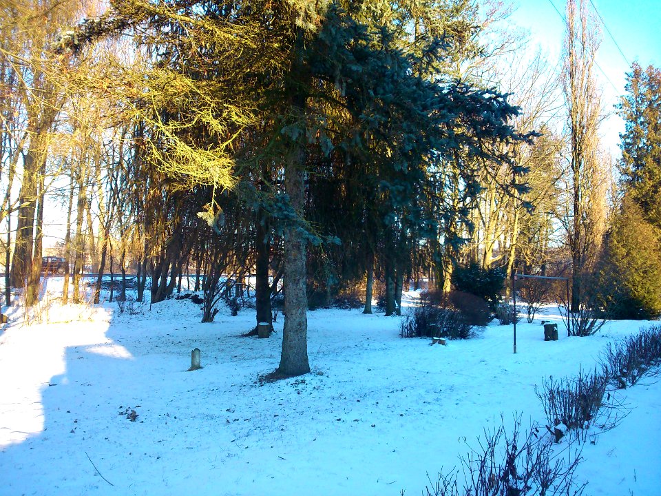 Winter at Miskininku Street Jonava, (2014)