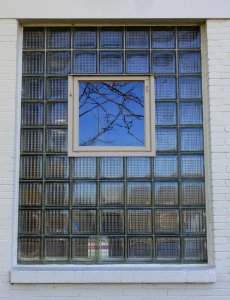 Window - Arlington, MA - DSC03020