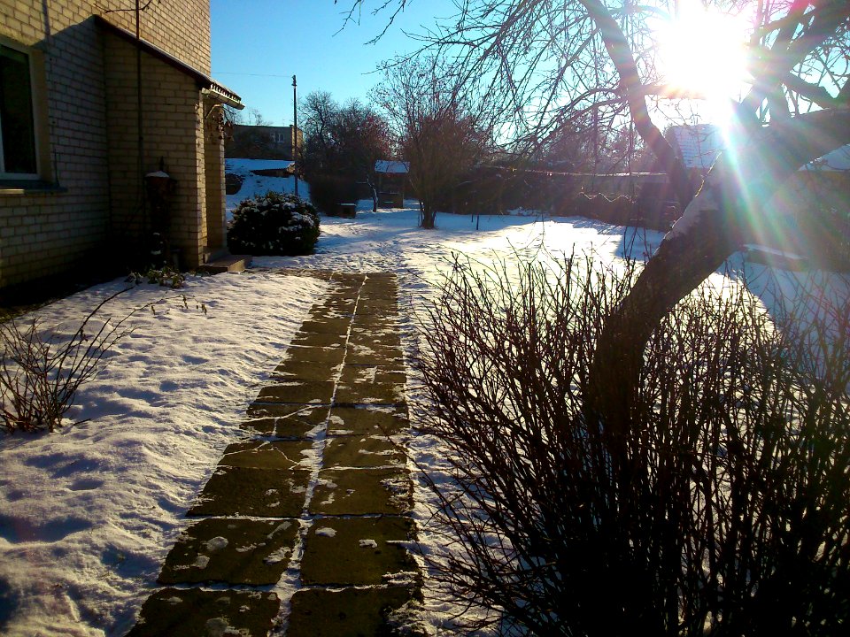 Winter at Miškininkų Street Jonava, '14 (way)