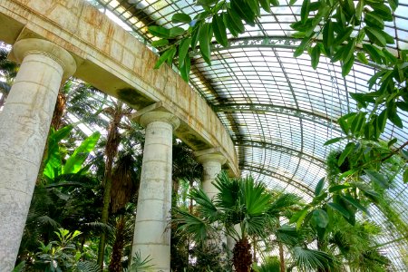 Winter Garden interior - Laeken Royal Greenhouses - Royal Castle of Laeken - Brussels, Belgium - DSC07478