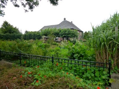 Winssen (Beuningen Gld) boerderij Molenstraat 4 met tuin