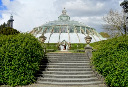 Winter Garden with steps - Royal Castle of Laeken - Brussels, Belgium - DSC07083