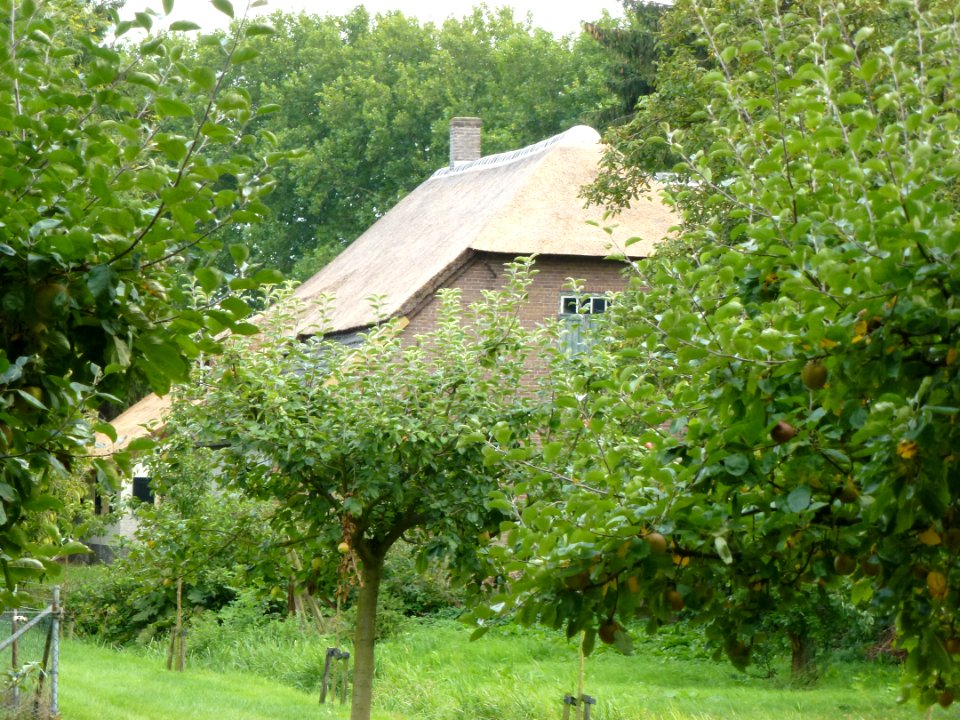 Winssen (Beuningen Gld) boerderij Geerstraat 15 (02)