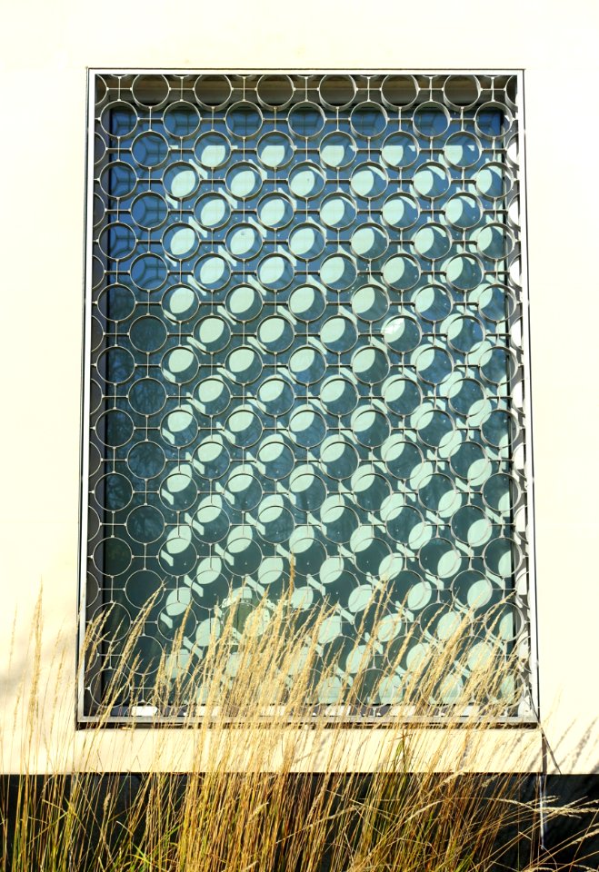 Window - Arlington, MA - DSC03025