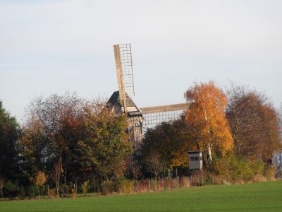 Windmill Langenroda 5