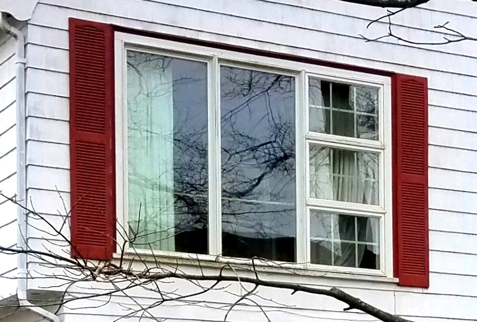 Window - Arlington, MA - 20210122 092535