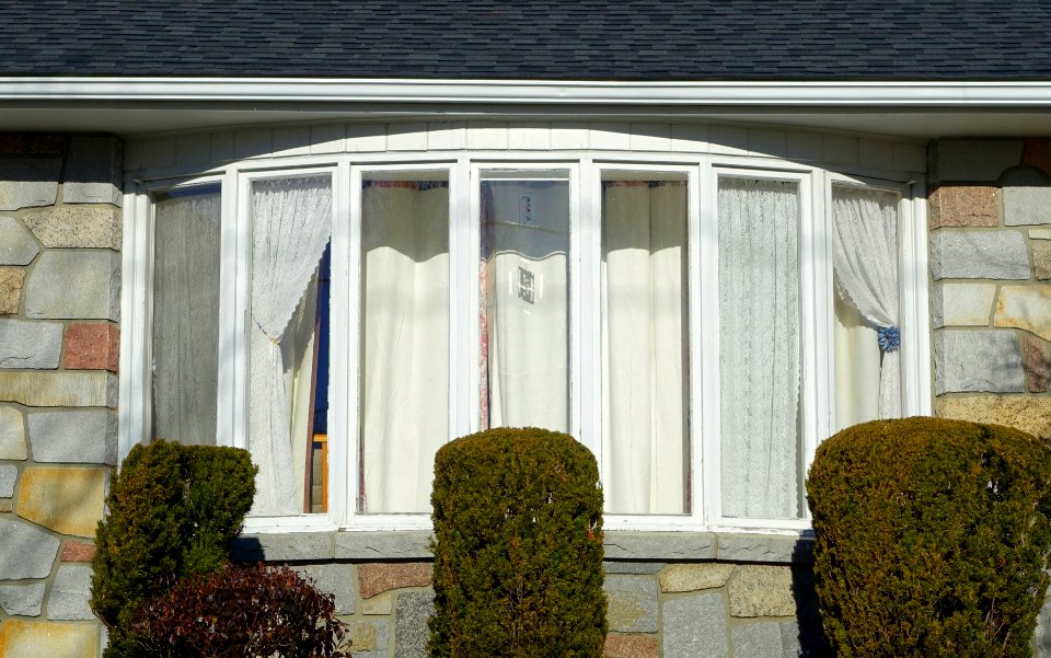 Window - Arlington, MA - DSC03961