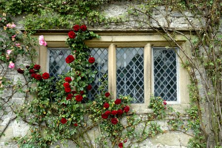Window - Haddon Hall - Bakewell, Derbyshire, England - DSC02912