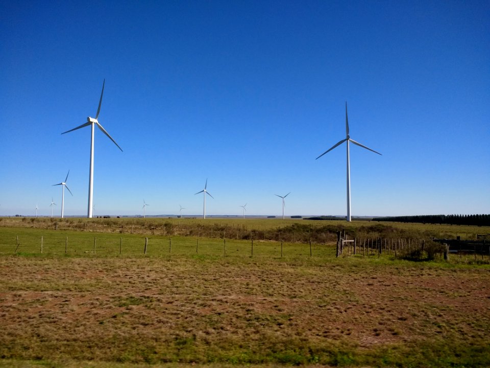 Windmills in northern Uruguay 1