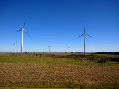 Windmills in northern Uruguay 1