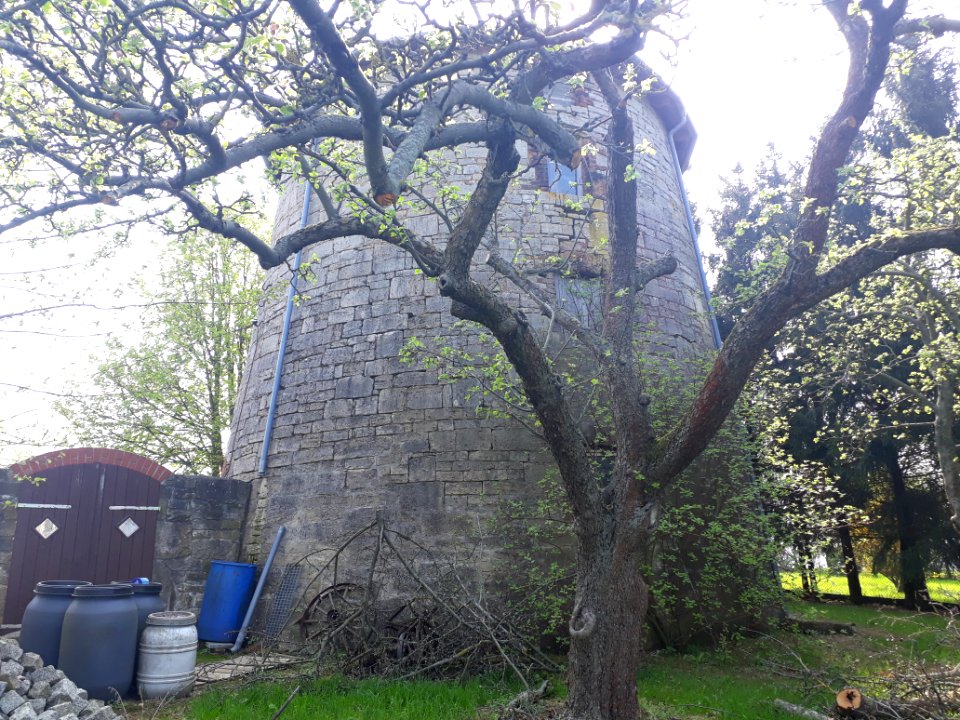 Windmill Frauenprießnitz - 1