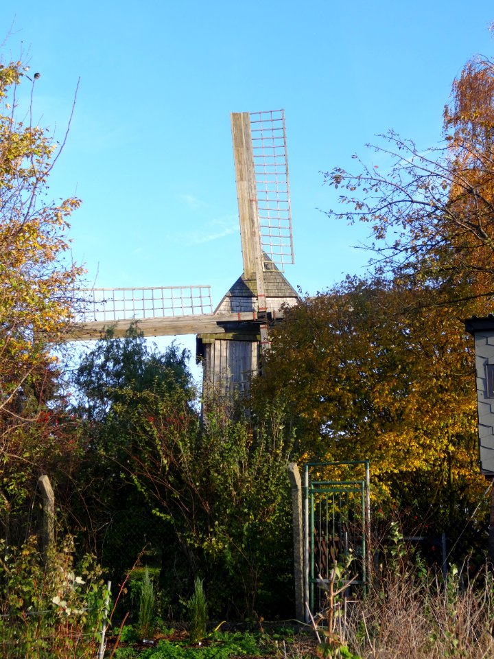 Windmill Langenroda 4