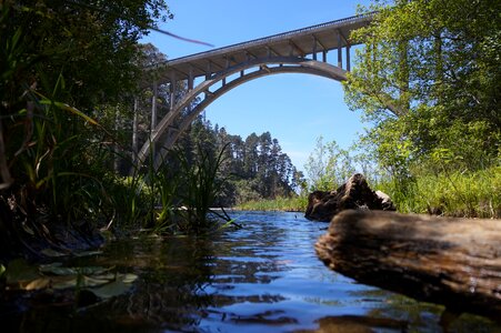 Bridge beach nature photo