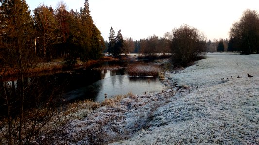 Winter day in Kehra next to Müramägi