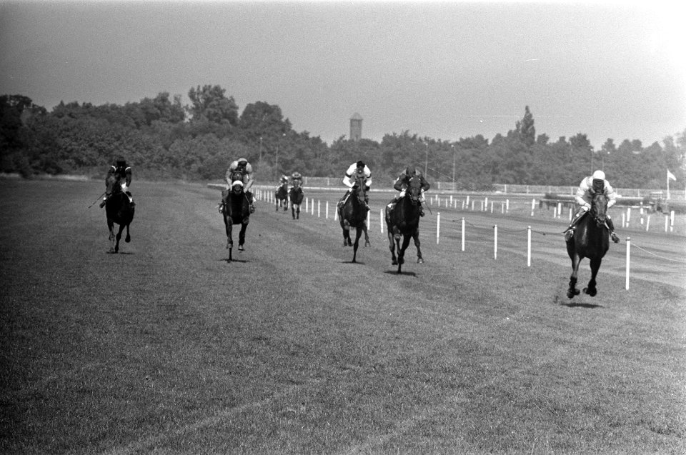Winnaar werd Joep (rechts) met rijder v.d. Kraats, Bestanddeelnr 922-6222