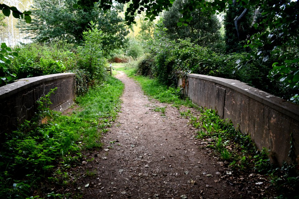 Winslade Park, Clyst St Mary (2020-09-05) 01