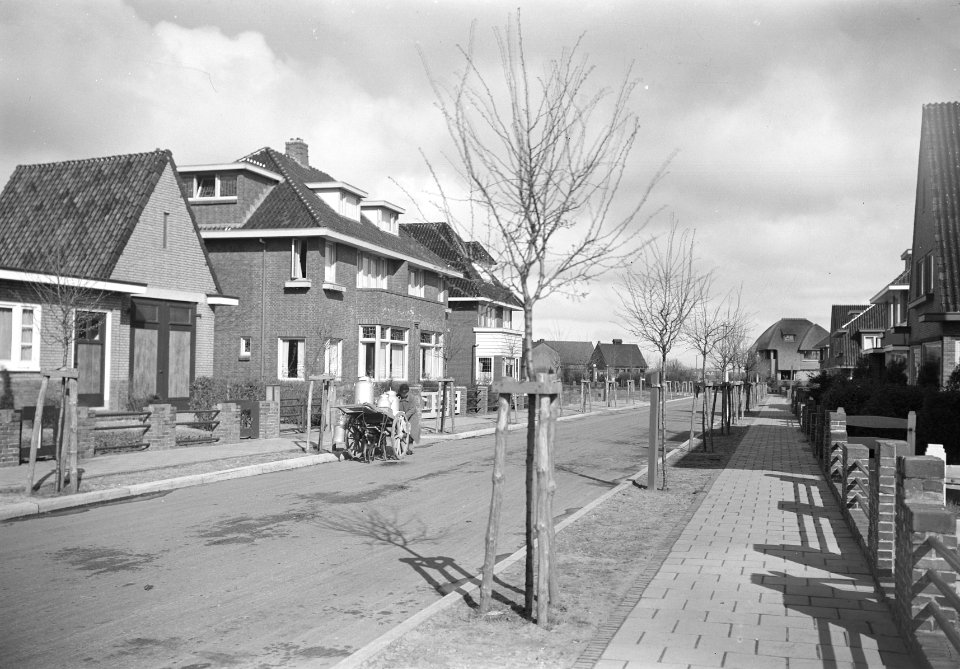 Winschoten Meidoorn, Bestanddeelnr 164-0482