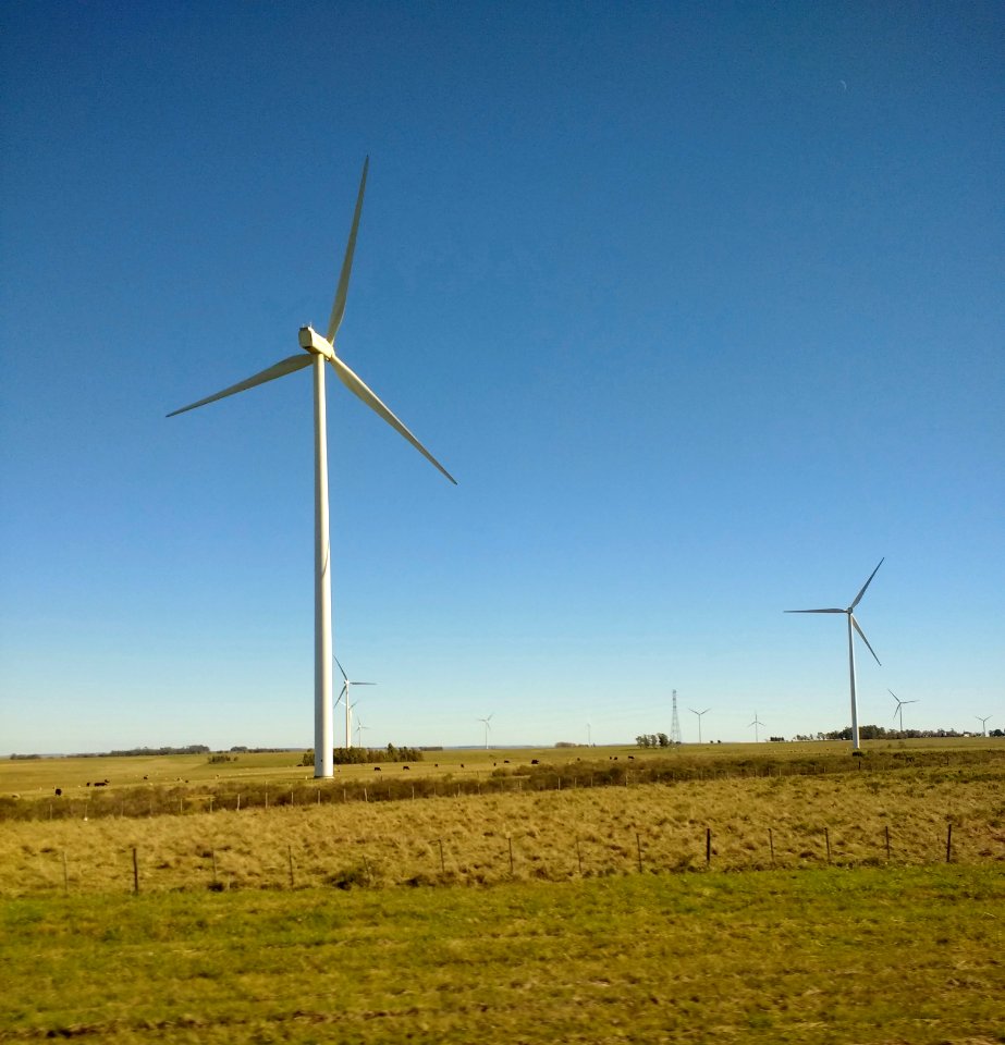 Windmills in northern Uruguay 2
