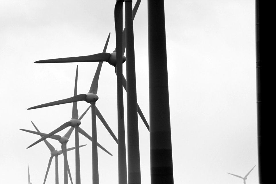 Windmills Ii (28509935)