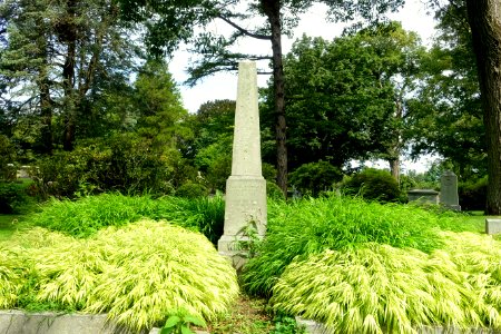 Winslow - Newton Cemetery & Arboretum - Newton Center, MA - DSC07062