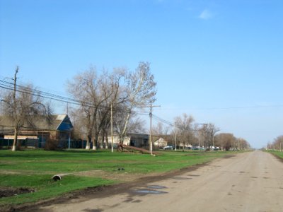 Winogradnoe