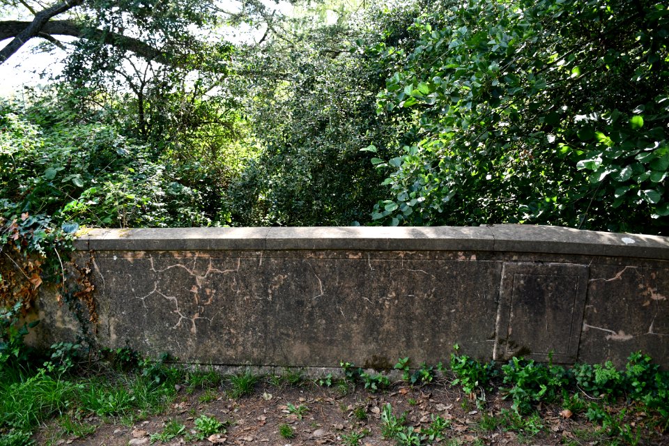 Winslade Park, Clyst St Mary (2020-09-05) 02