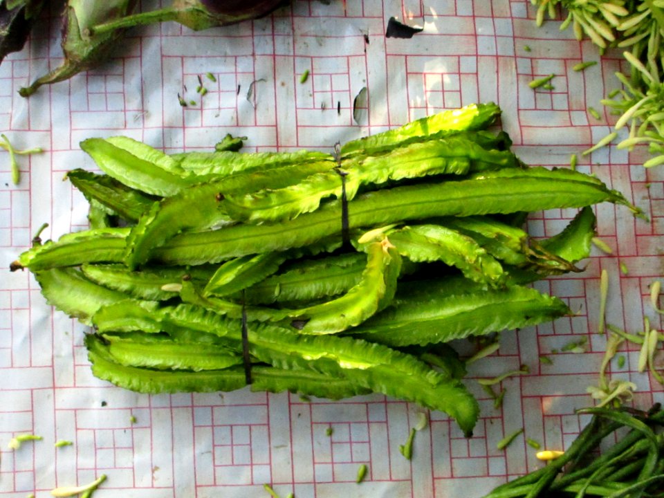 Winged bean pods