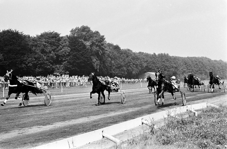 Winnaar Jan Wagenaar met Tony Vitesse (links), rechts Konijnenburg met Tempo Rar, Bestanddeelnr 930-9476