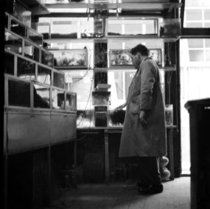 Winkel met aquariums, Bestanddeelnr 254-2347