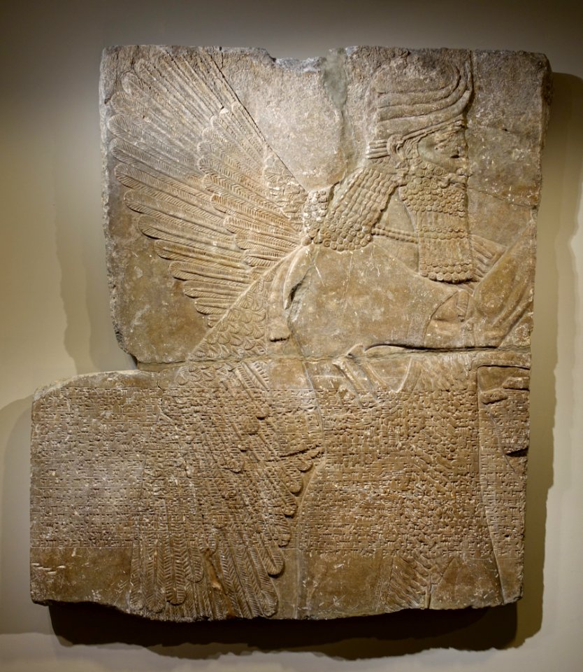 Winged divinity, Throne Room (Room B), Northwest Palace of Ashurnasirpal II, Assyrian, Nimrud, 885-859 BC, gypseous limestone - Princeton University Art Museum - DSC07164