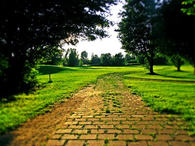 Nature green game