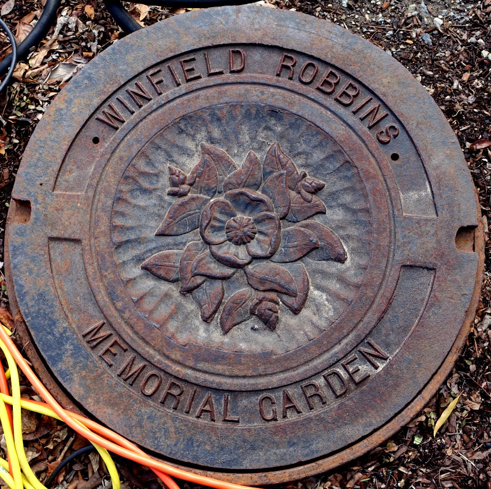 Winfield Robbins Memorial Gardens manhole cover - Arlington, MA - DSC05838