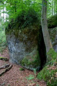 Windloch bei Sackdilling (A 41) 015