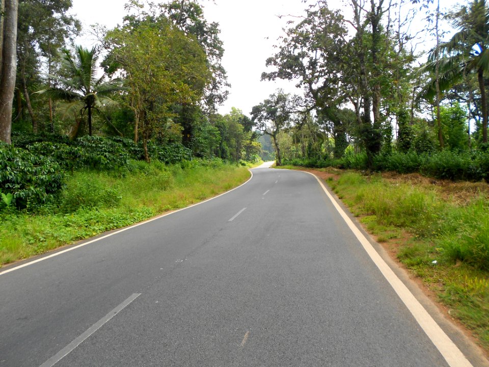 Winding Roads (124289821)