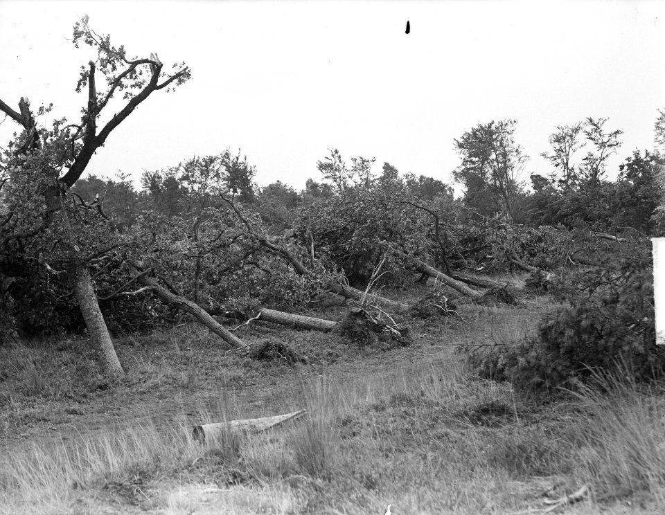 Windhoos op de veluwe, Bestanddeelnr 904-1488
