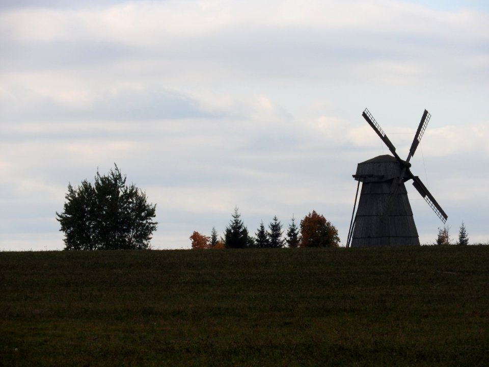 Windmill Dudutki 11